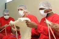 Presos que tejen lana en Brasil