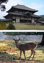 Nara: Japón