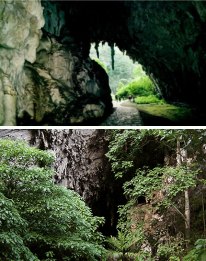Cuevas de Guácharo: Venezuela