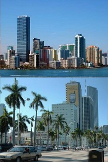 Miami Dawntown